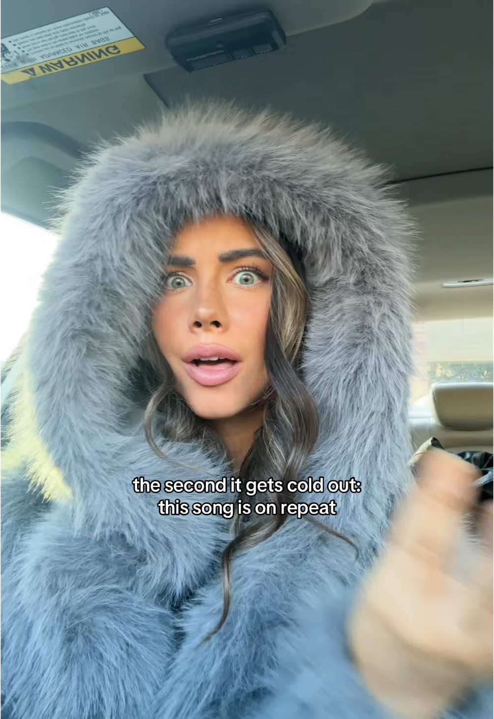 its just how it has to be #alltoowell #winter #furcoat #targetfurcoat 
