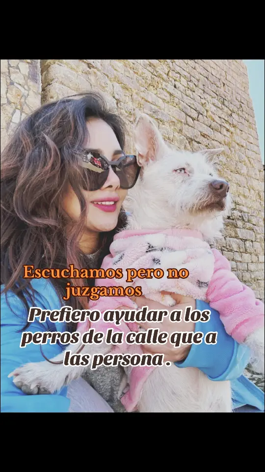 Escuchamos pero no juzgamos…☺️ #doglover #adopcionresponsable #adoption 