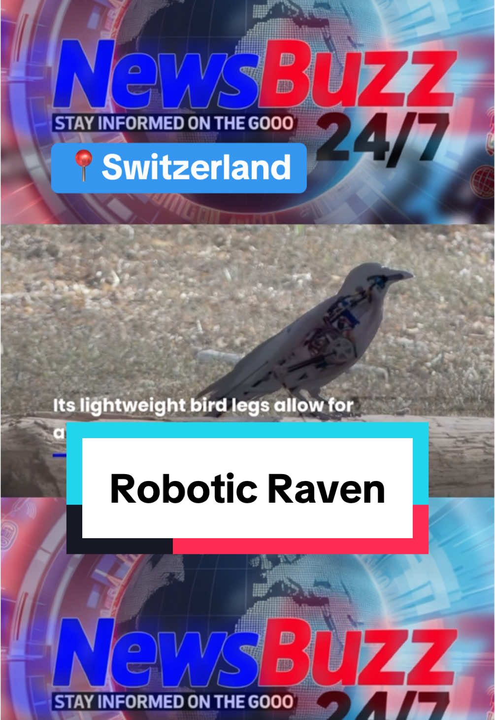 ‘A.I.'m Like A Bird!' Scientists Build Robotic Raven. Scientists in Switzerland have built a revolutionary robot raven that leaps into flight like a bird. They hope that one day the design could eliminate the need for runways for small fixed-wing drones or eVTOL craft. Inspired by birds, which use powerful leg thrusts to launch into the air, researchers led by Dr Won Dong Shin created 'RAVEN'.  #RobotRaven #RevolutionaryRobotics #SwissInnovation #FlightLikeABird #RAVENRobot #DroneTechnology #AviationFuture #foryou #fy #eVTOLInnovation #BirdInspiredDesign #TechBreakthrough