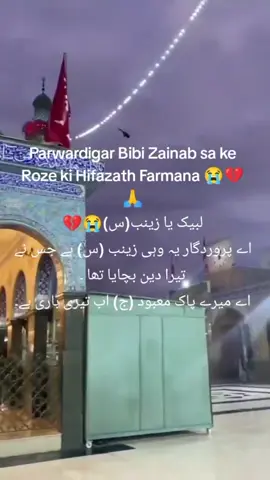 #ZainabShah5121472 #🚩✌️🚩✌️🚩✌️🚩✌️🚩✌️🚩 #786 #110 #yaalimadad 