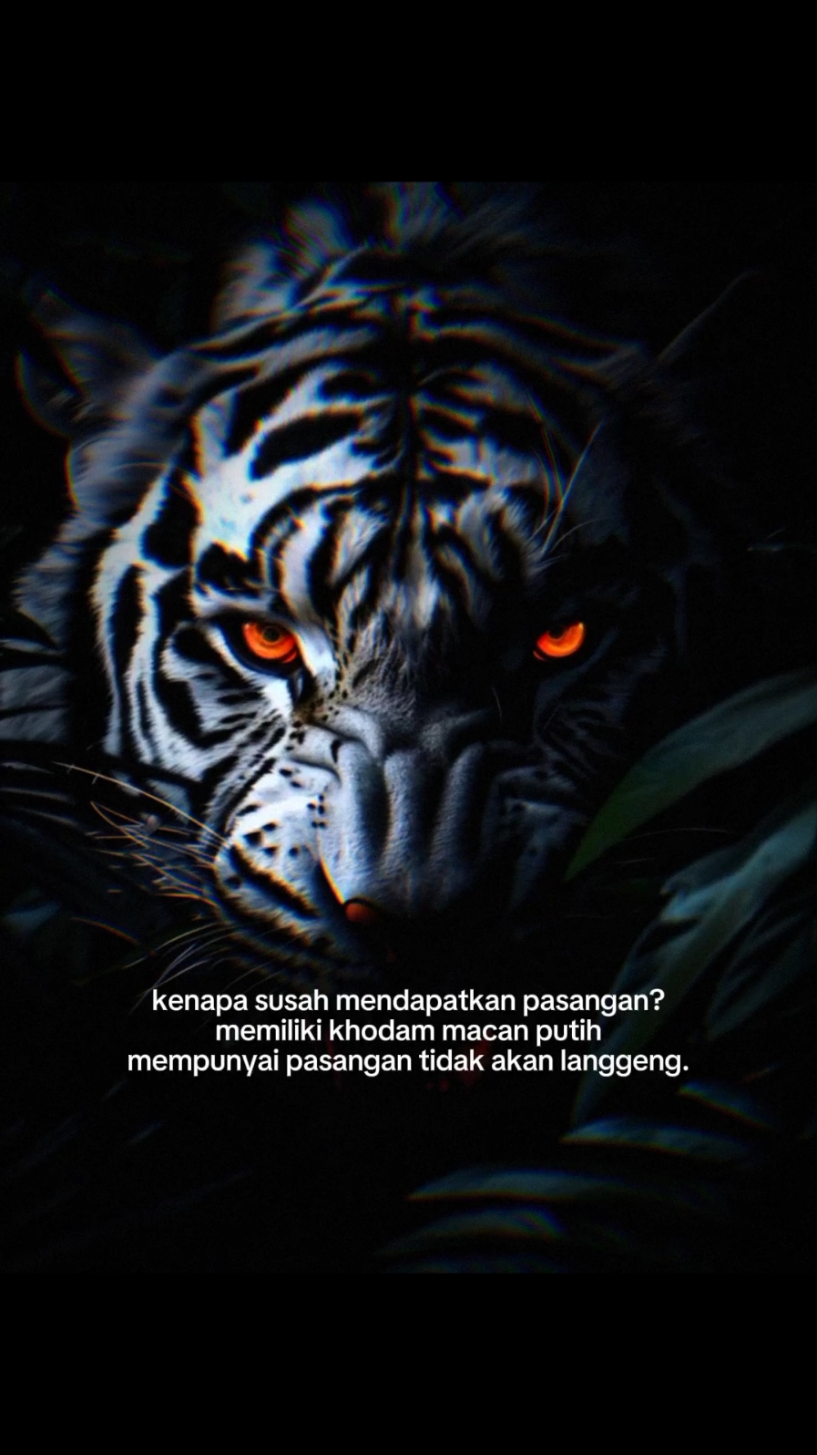 mitos atau fakta silahkan kalian jawab sendiri🙏🤝#seram #khodam #khodammacanputih #macanputih