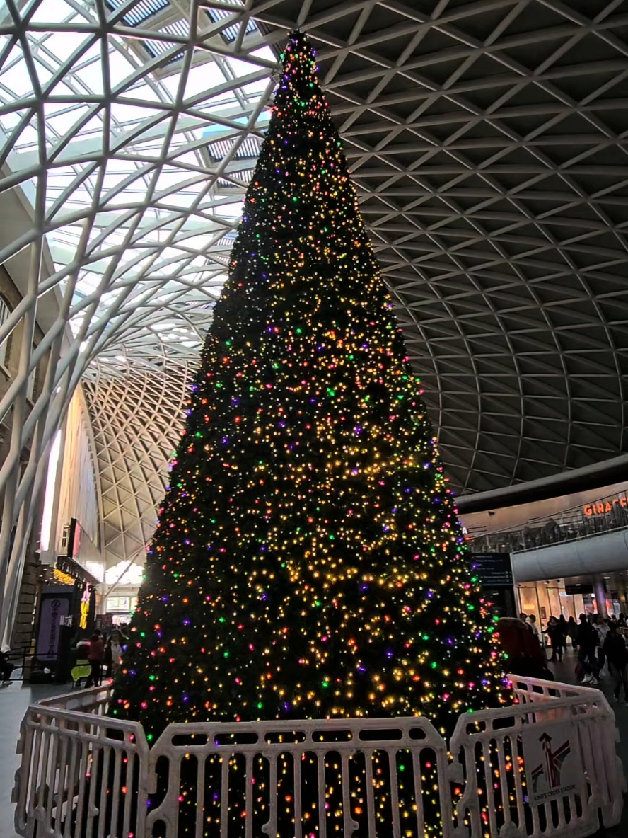 King's Cross Christmas Tree. #kingscross #kingscrossstation #christmastree #christmastok 
