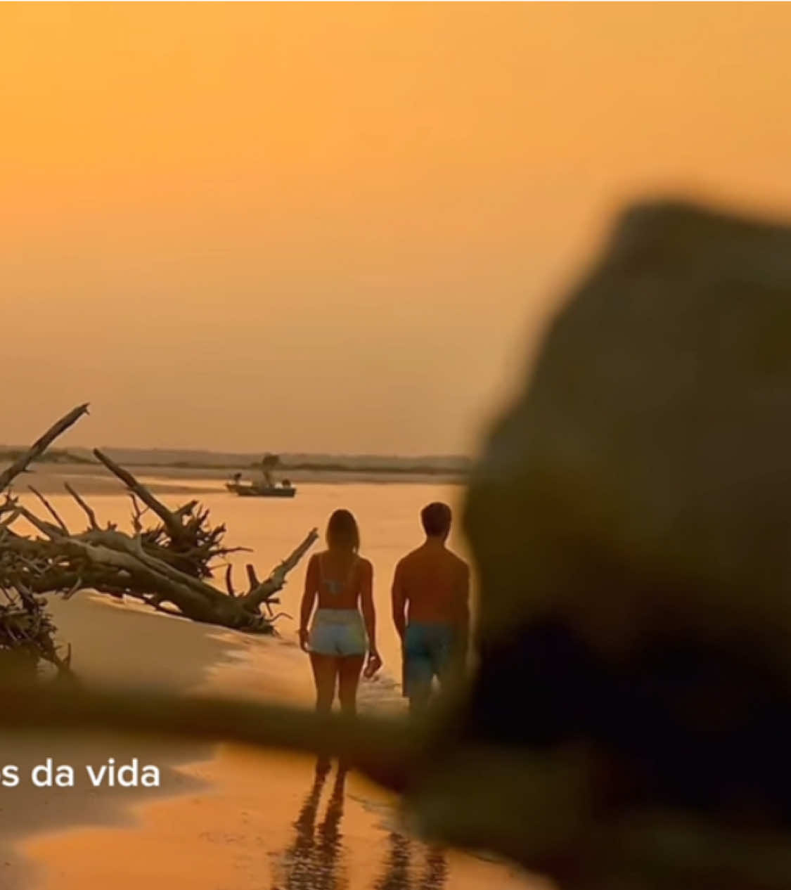 Y si nos da vida, pa que dejarlo morir ?#sarahcameron #obx #outerbanks #videoscontexto #videosdefakeland #beberecuerdaqueestavidasevaenunsuspiro 