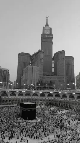 Beautiful Arabic Naat Ya Rubulalameen Allah hoo Allah ❤️❤️❤️ with beautiful voice ❤️ like and share  #macca #yarubulalameen🤲🤲❤ #2025 #flowers #makkahmadinah🕋 #foryoupage❤️❤️ #foryoupage❤️❤️ #growmyaccount #Allah #allahhooallah #fyp