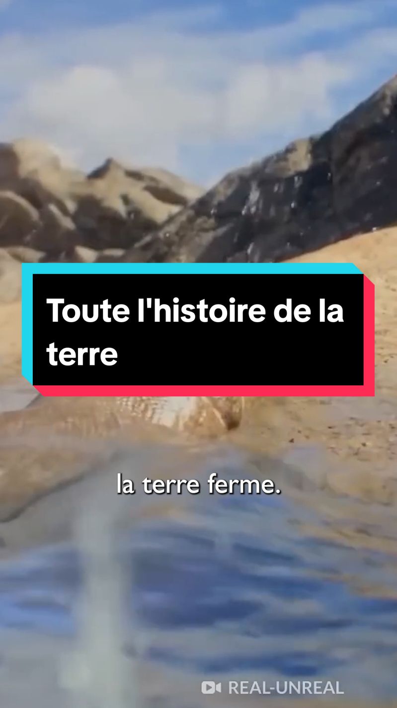 Toute l'histoire de la terre 🌎