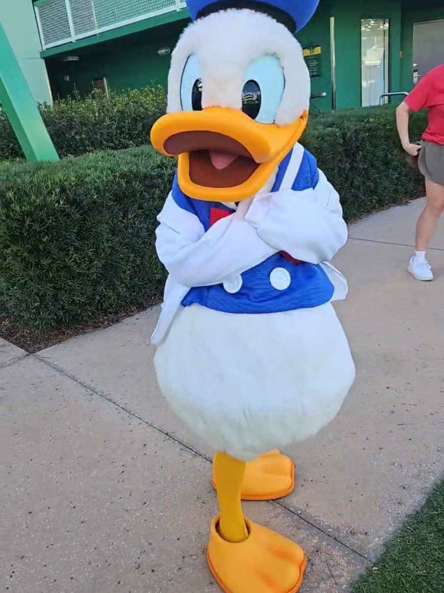 Donald Duck Steals girls jacket at All Star Sports Resort 🤣 #disneyworld #disney #allstarsports #allstarsportsresort #donaldduck #charactermeetandgreet #waltdisneyworld #characterinteractions #waltdisneyworldparks #disneyallstarsportsresort #disneyresort #disneyresorts #fyp #fypシ #distok #distokfam #castmember #disneytiktok 