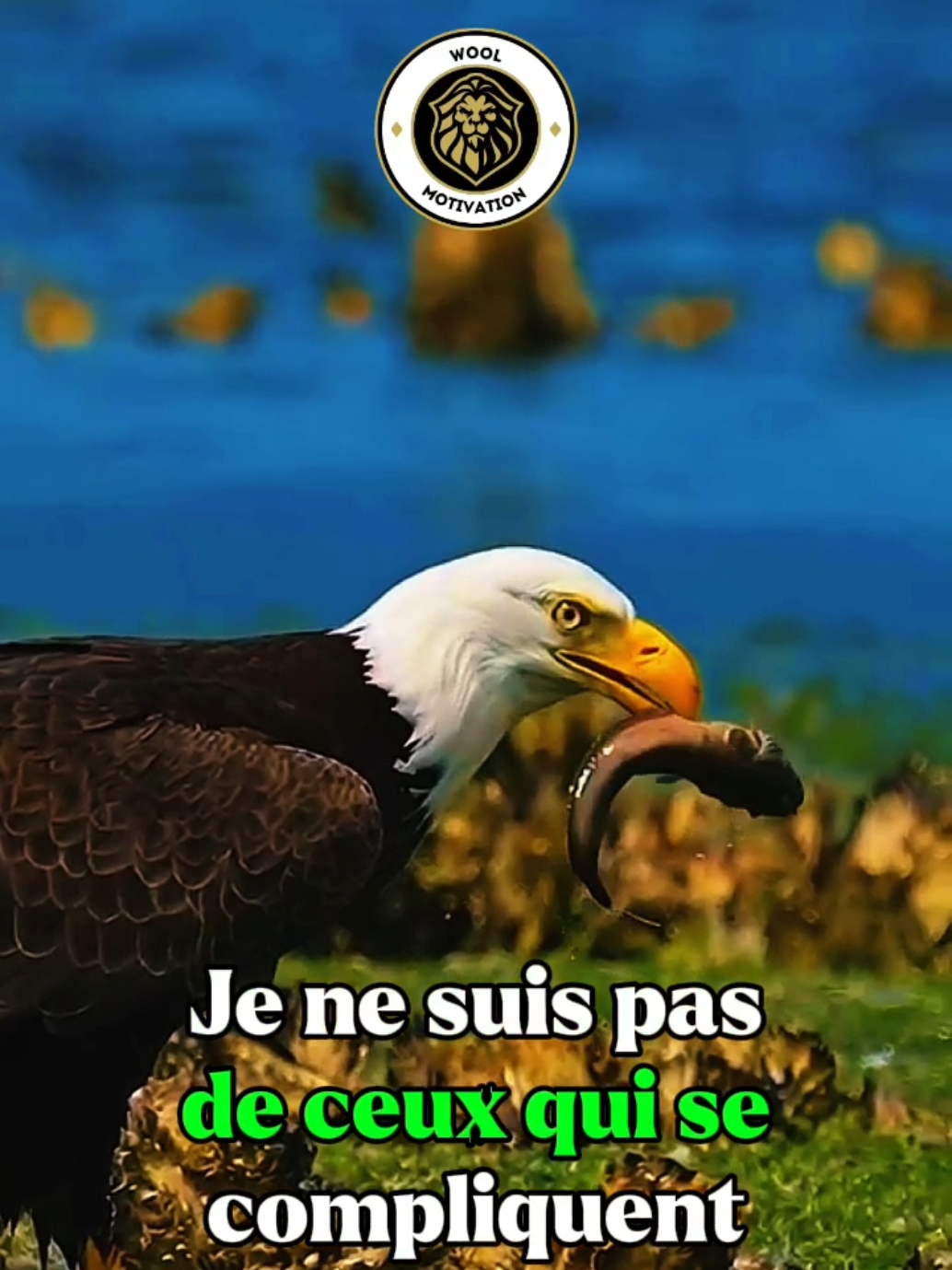 Je ne suis pas de ceux qui se compliquent la vie.. #motivation #woolmotivation #france🇫🇷 #france #conseil #citation #leçon #dicton #consiel #conseiltiktok #motivationconseils #motivationencouragement #motivationdelavie #motivationfrançaise #motivationmentalité #motivationréussite #mindsemotivation #disciplinemotivation #confianceensoi #developpementpersonnel 