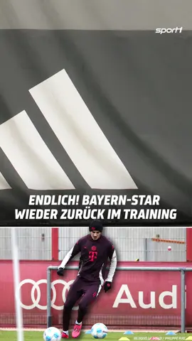 Josip Stanisic kehrt ins Mannschaftstraining des FC Bayern zurück. Der Rechtsverteidiger könnte schon bald wieder für den Rekordmeister auf dem Rasen stehen.🔥 #sport1 #sport1news #fcbayern #stanisic #fussball