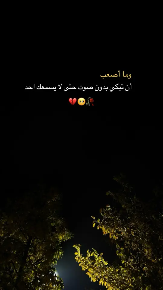 الصمت 💔😔#💔 #🖤🥀 #حزن #شعور_مؤلم #fy #fypp #funny 