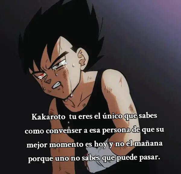 ✍🏻💪 #orgullo #mibro #frases #motivación #mentalidad #metas #mundodragonball #vegeta #goku #viral #🤜 #parati #dragonballz #metas