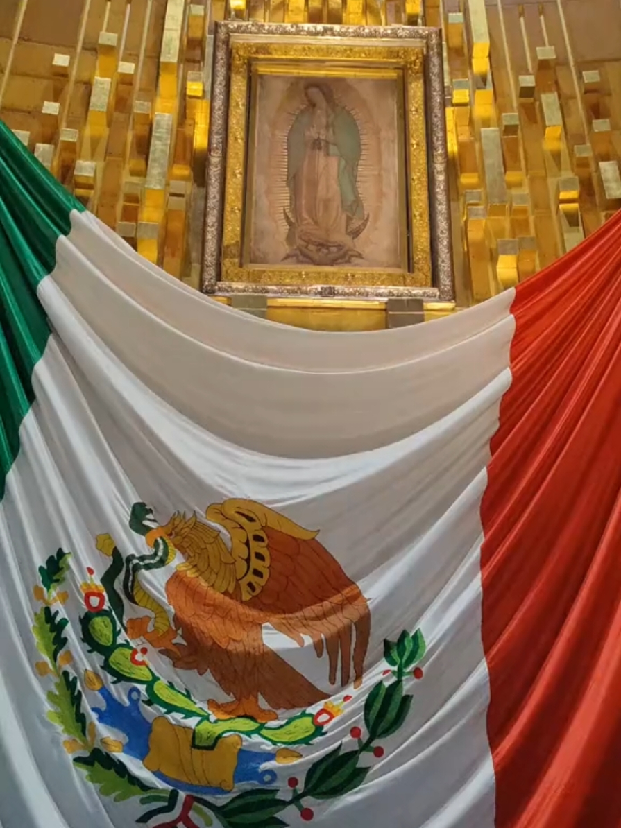 #basilicadeguadalupe #virgendeguadalupe 