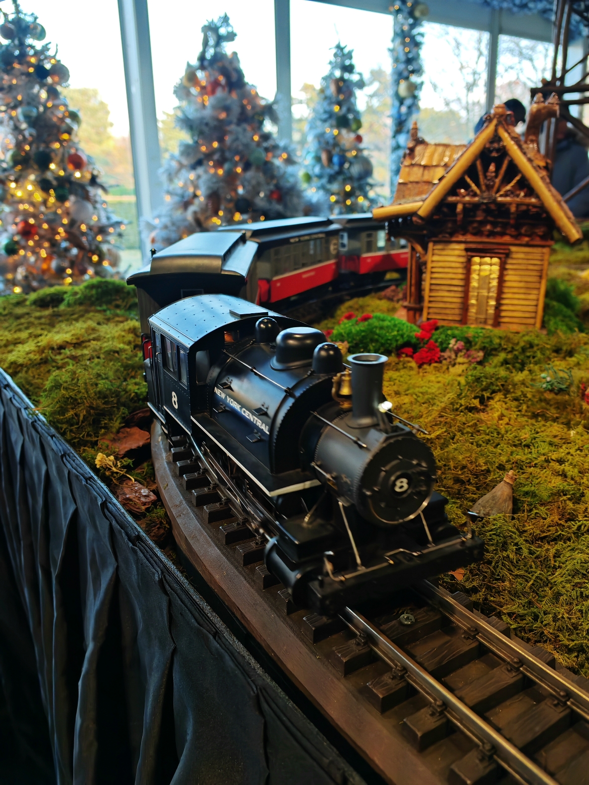 📍NYBG: HOLIDAY Train Show Part:2/2 #nybg #holidaytrainshow #christmastrains #christmas #christmasdecor  #trains #christmasparties #christmastoys #christmasiscoming #toytrains #christmasphotographysession #christmastraditions #modeltrains #locomotive #locomotives #getontrack #ontherighttrack #ontrack #ontrackontrend #christmasisrightaroundthecorner #christmastraining #harryzlens #triphunterdrone 