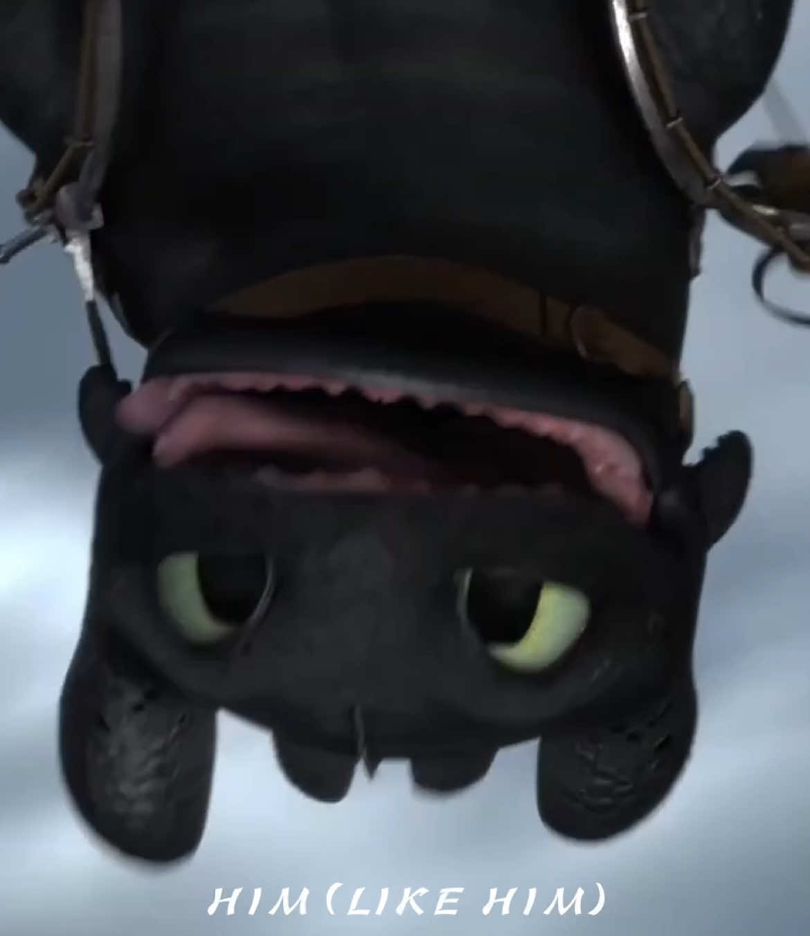 Although they seem like an unlikely pair, both share striking similarities as outsiders who defy expectations. challenging stereotypes—Toothless as a feared Night Fury who becomes a symbol of trust and leadership, and Miles as a young Spider-Man carving his own legacy. They form unlikely partnerships, Toothless with Hiccup and Miles with other Spider-People, fostering growth through trust and understanding. Their unique abilities—Toothless’s plasma blasts and flight, and Miles’s venom strike and invisibility—highlight their individuality. Ultimately, both inspire through journeys of personal growth, empathy, and breaking barriers to become heroes. #edit #httyd #ITSV #ATSV #milesmorales #toothless #poetry #tylerthecreator #viral #fyp 
