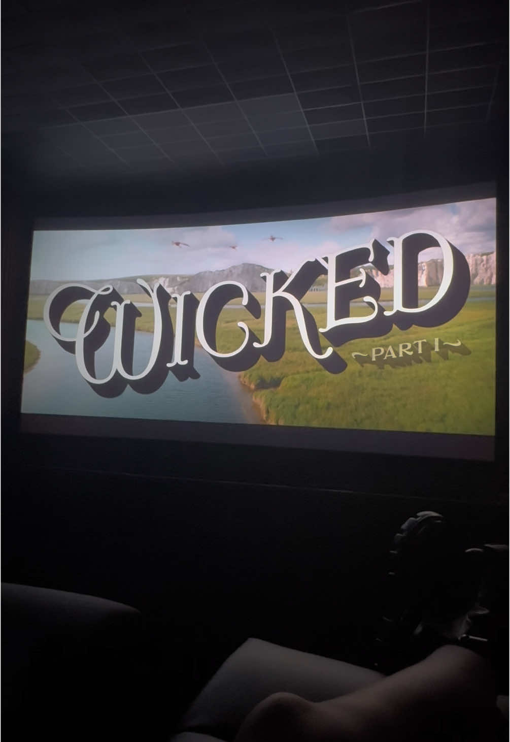 unfortunately i hyper fixated  #wicked #again #wickedthemusical #wickedmovie #wickedwitch #wickedwitchofthewest #glinda #bestfriend 