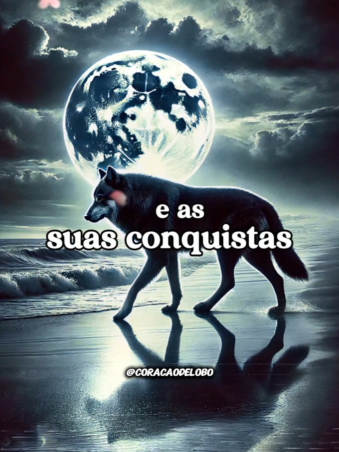 Não espere que as pessoas compreendam suas escolhas. Elas as julgam de acordo com aquilo que acham sobre você, e não sobre quem você realmente é. #coracaodelobo 