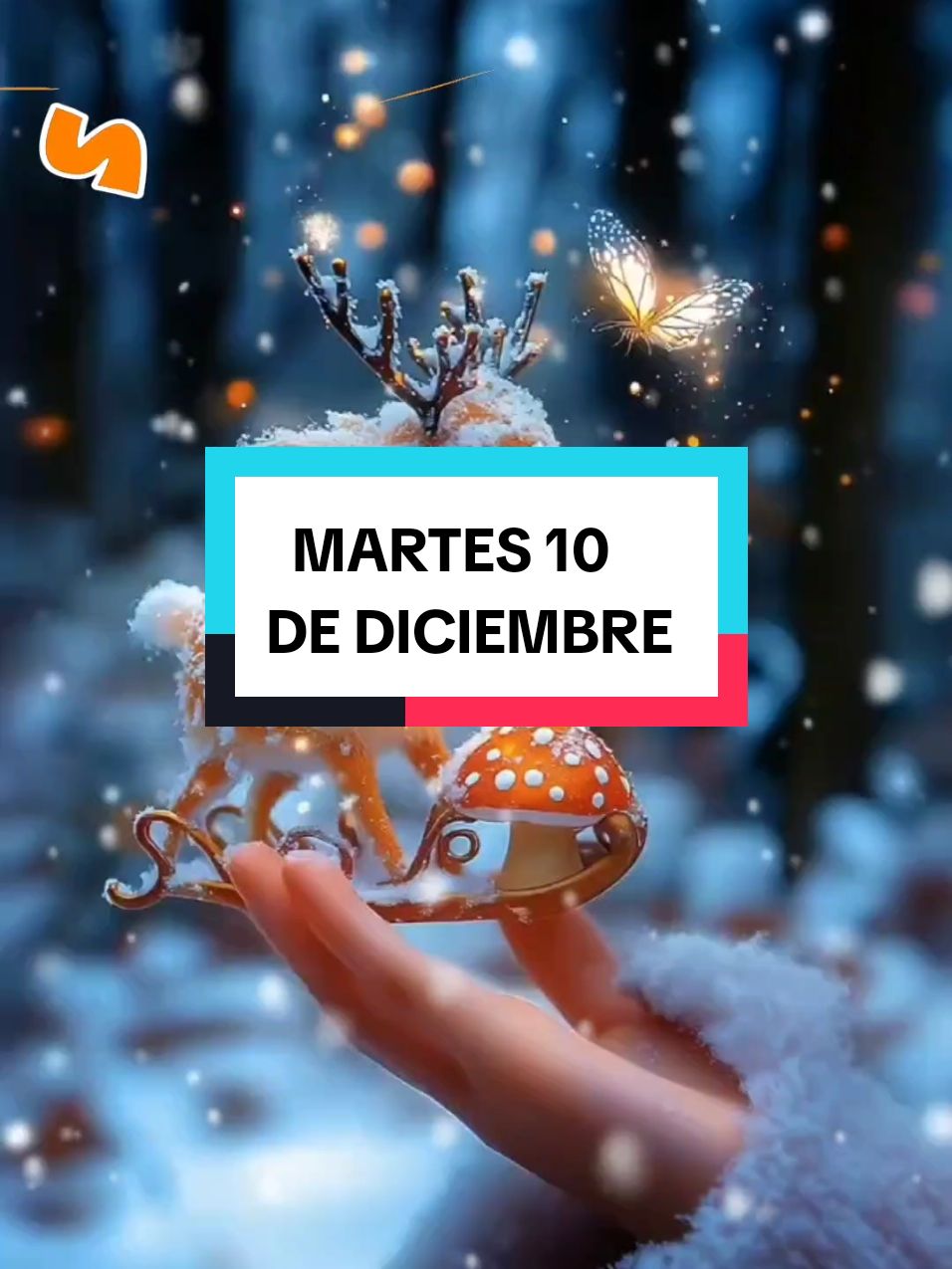 #parati #Mensajes y Motivación #Martes 10 de Diciembre 🌲#Buenos Días #Gracias Díos por la oportunidad de crecer una vez más y por todas tus Bendiciones 🙏❤️  chin@❤️