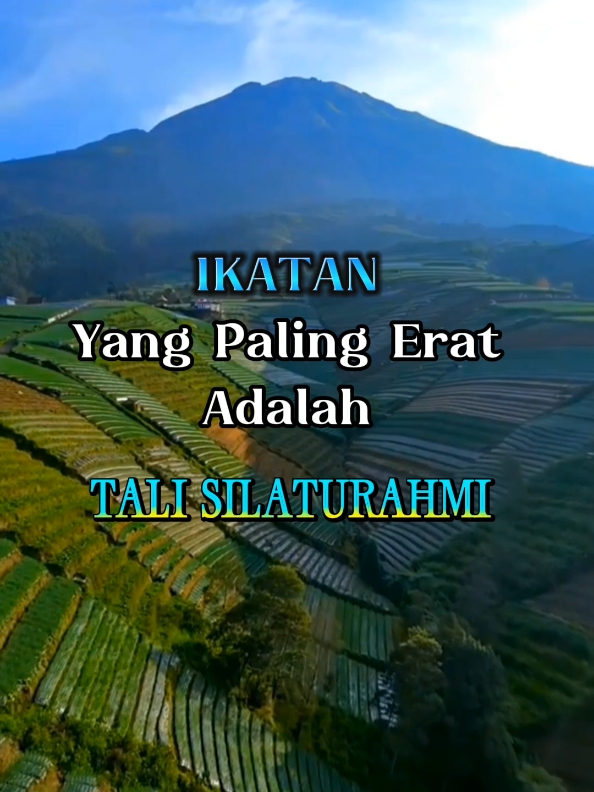 Ikatan yang paling erat #katakatamutiaraislami #katakatabijak #katakatamotivasi #katakatamutiara 