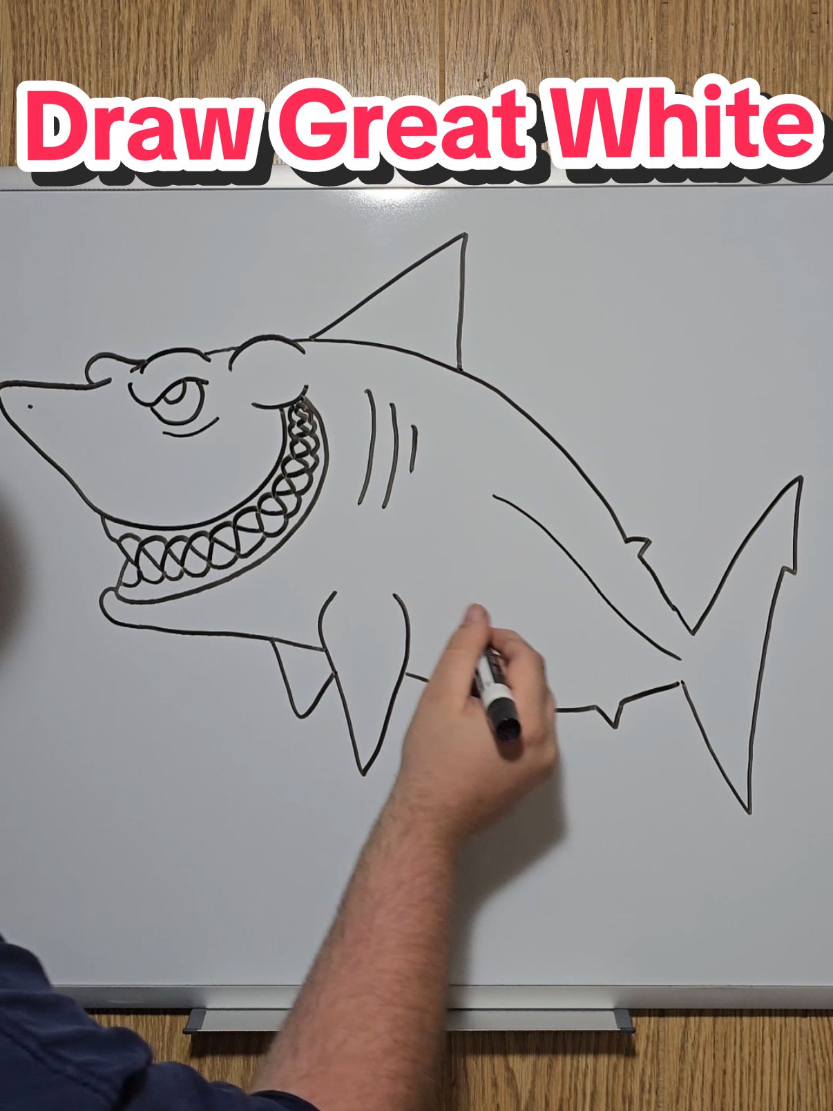 how to draw a great white shark