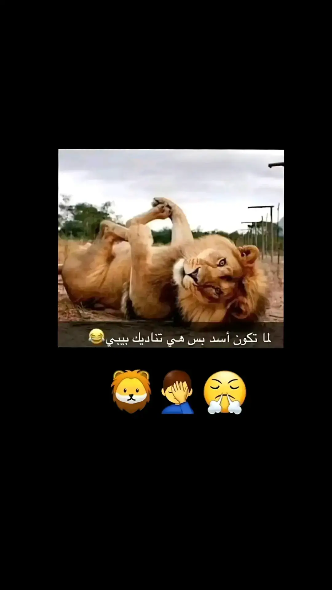 #fyp #foryou #f #😂😂😂😂😂😂😂😂😂😂😂😂😂😂😂 #😂😂😂😂😂 #😂😂😂 #😂 #السعودية #الشعب_الصيني_ماله_حل #الشعب_الصيني_ماله_حل😂😂 #ضحك_وناسة #comediahumor #comedia #0324mytest #funny #دويتو #الخليج #الامارات #الكويت #اضحكو_بحب_اشوفكم_مبسوطين  #الشعب_الصيني_ماله_حل😂😂🏃🏻‍♀️ #fypシ #اضحك_من_قلبك  #مالي_خلق_احط_هاشتاقات🦦 #الشعب_الصيني_ماله_حل😂😂🏃🏻‍♀️