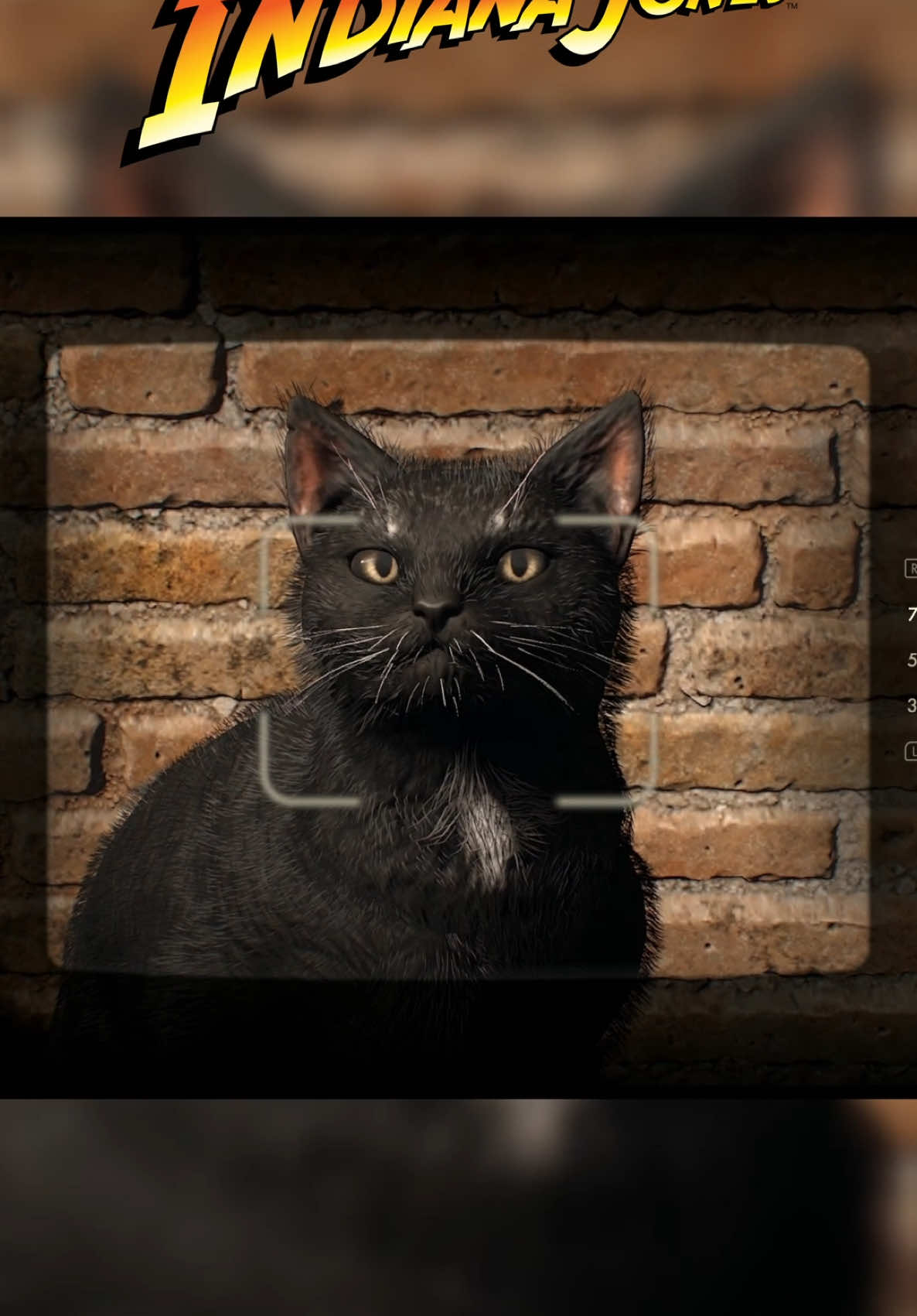 Goated cat design 😍 #xboxseriesx #gamepass #indianajones #GamingOnTikTok #gaming 