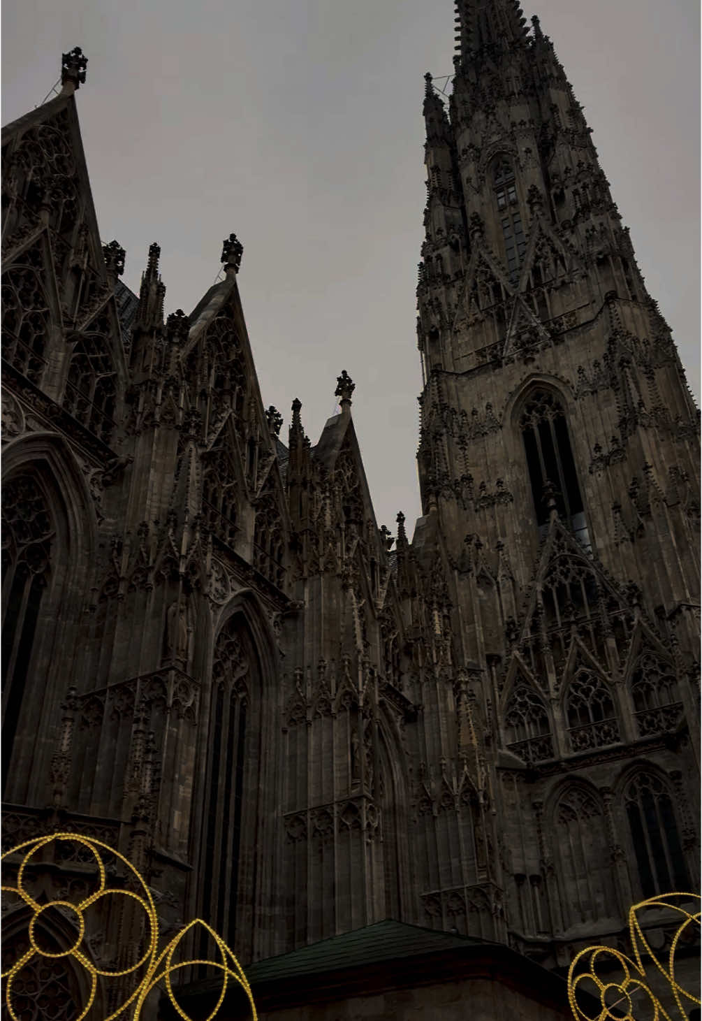 Centuries in the making to take your breath away in seconds 🥹  St. Stephen's Cathedral, Vienna 📍🇦🇹 #cathedral #gothic #ststephenscathedral #vienna #wien #austria #travel #explore #fy #foryou