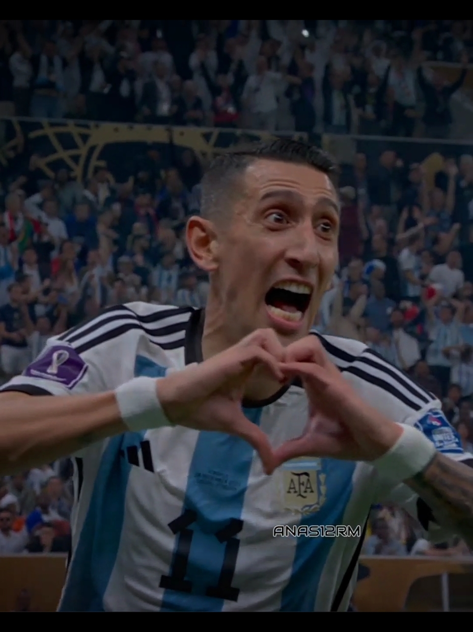 Ángel Di María 🫶🏻 #Ángel #DiMaria #goal #argentina #vs #france #worldcup #messi #lionelmessi #viral #football #edit #fyp #videotiktok #newvideo #footballtiktok #fouryou 