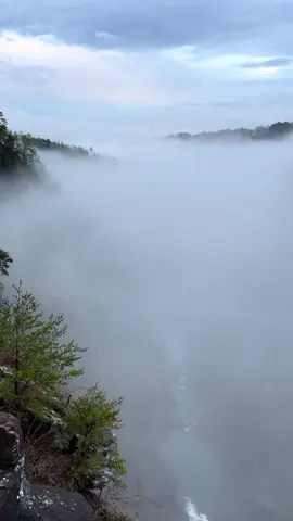 Fog in the Tallulah Gorge as seen from the north walenda tower overlook. Hesitated about posting this one, but decided to anyway due to its neatness factor 🤩.  #Hiking #trails #adventure #Outdoors #Fitness #mountains #outdoorlife #hikinglife #georgia #wilderness #ruggedterrain #tallulahfalls #tallulahgorge #gorge #fog #wetweather #clouds