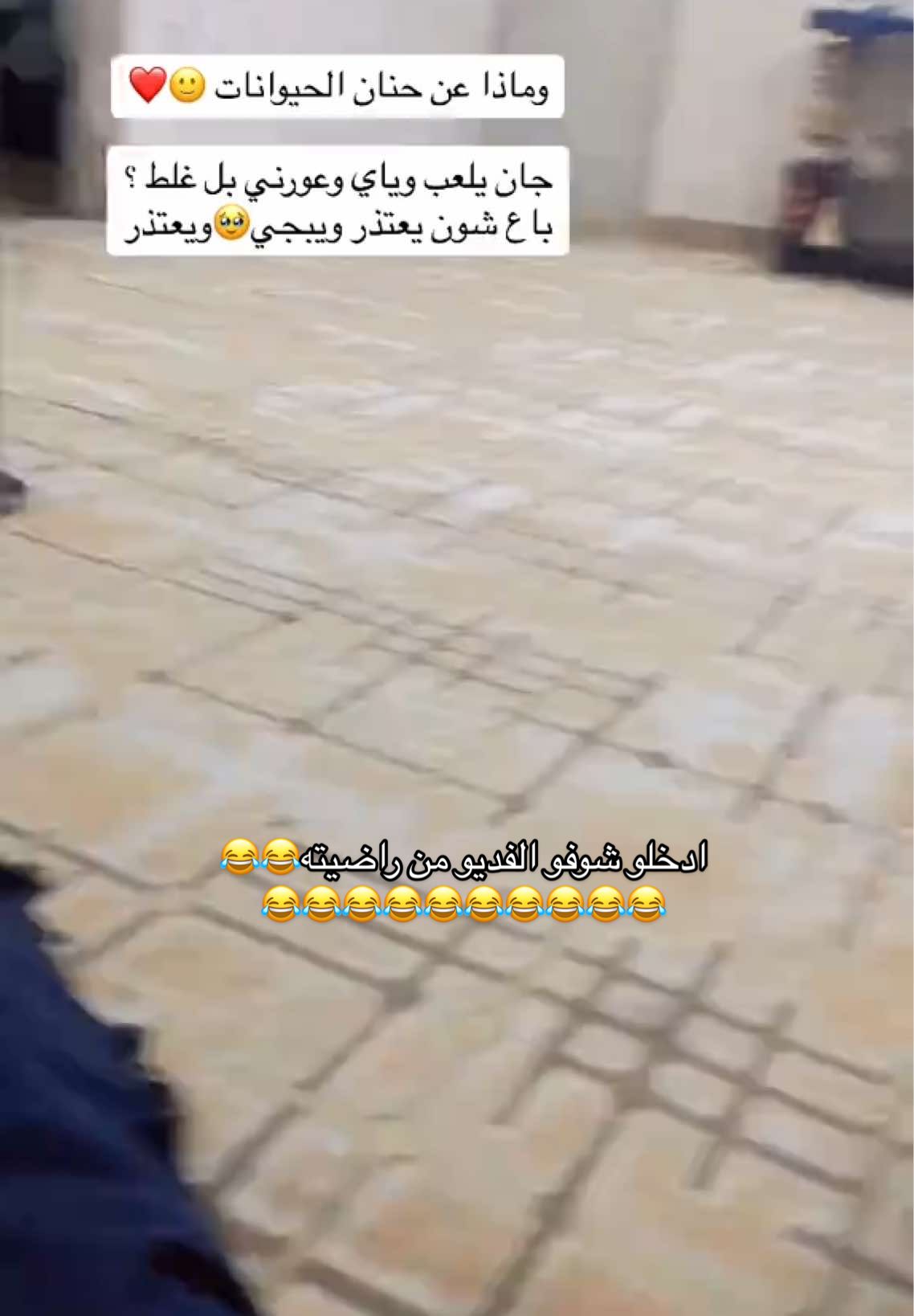 🥹🥹🥹#الحيوانات_الاليفه #الكلاب #حنان_الحيوان_على_مربيه🦁 #اكسبلور #ترند #viral #viralvideo #tiktok #trending #fyp #Love #animals 