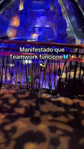 #teamwork #manifestation #manifiesta #teamoftomorrow 