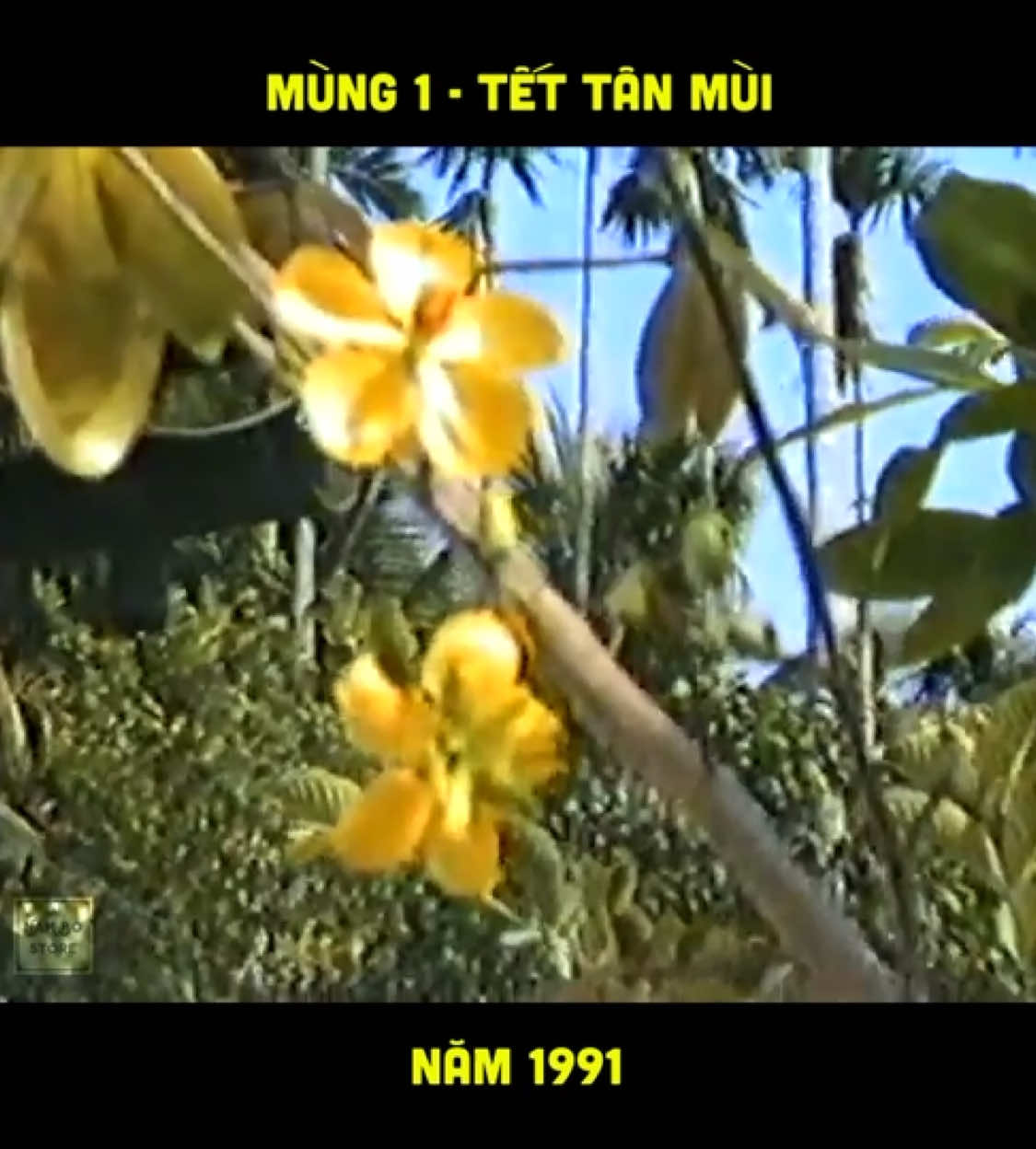 Một 8x được ba mẹ cho đi viếng ông bà ngày đầu xuân #tetcotruyen #tanmui1991 