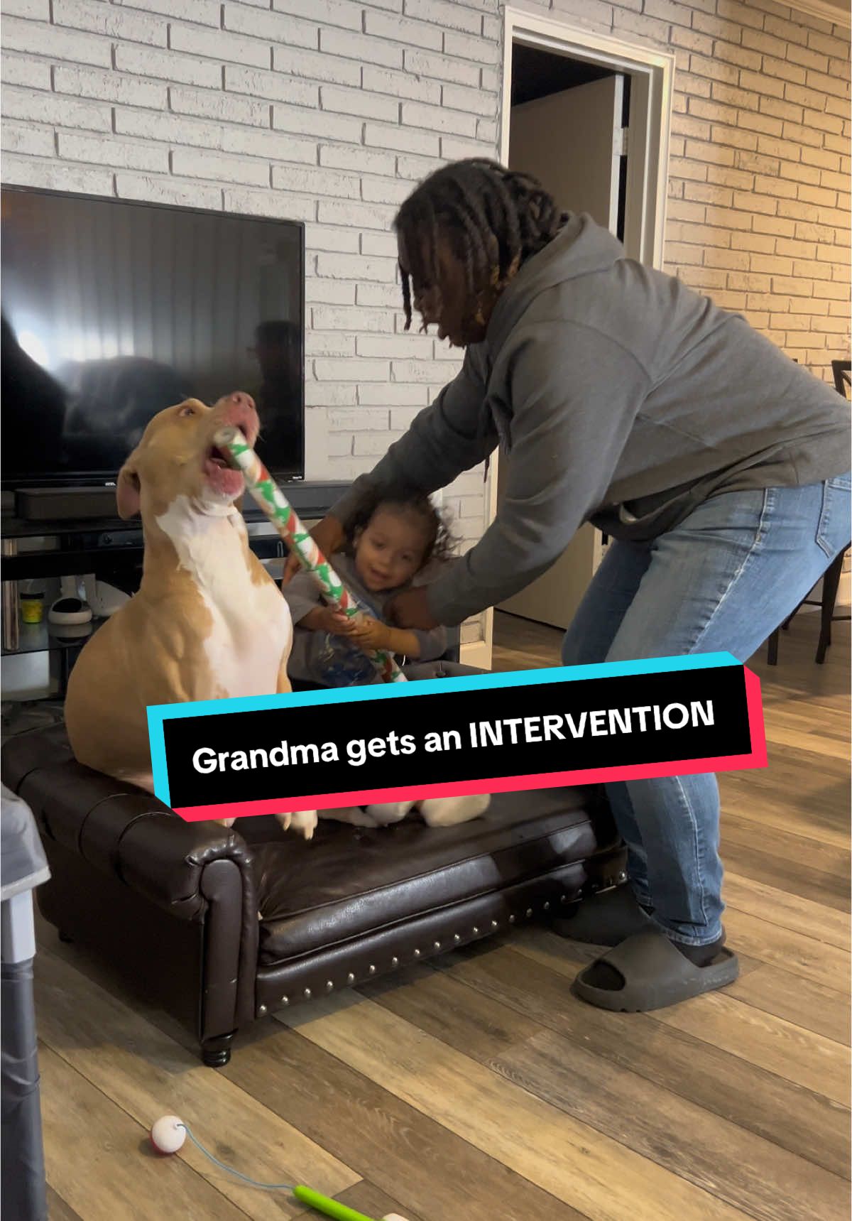 Grandma received her first intervention. She was not ready… #A#Aceb#bishopacep#pitbullsoftiktokd#dogsoftiktokf#fypa#aceandgrandmag#grandmaandacef#foryourpagedogofgod 