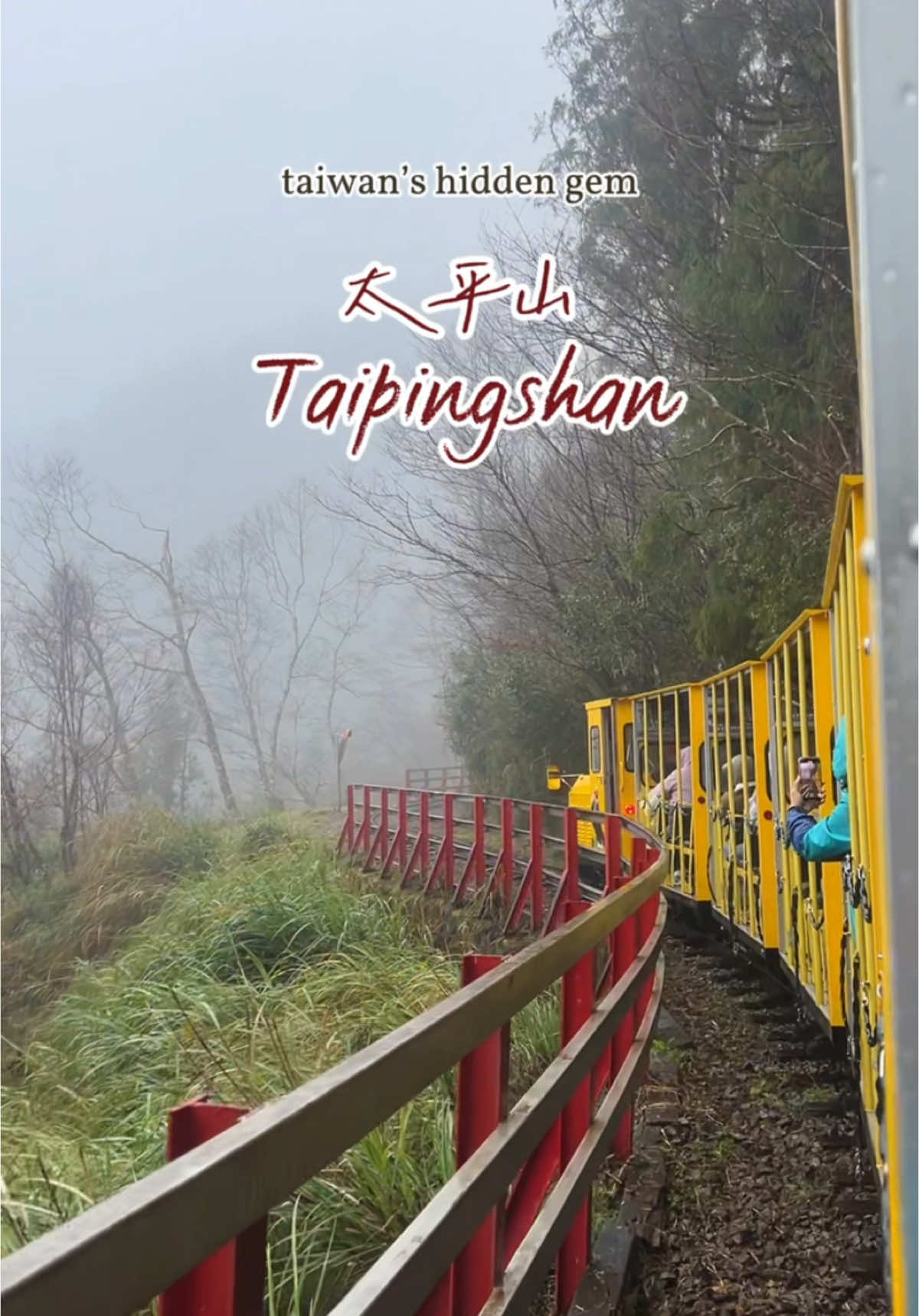 what a dream 🥺☁️🌳 📍Taipingshan, Yilan, Taiwan #taiwan🇹🇼 #yilan #taipingshan #bongbongtrain #taiwantiktok #exploretaiwan #太平山 #宜蘭 