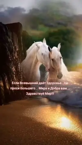 #ВсемМираиДобра #🤲🙏🕊️ #врек 