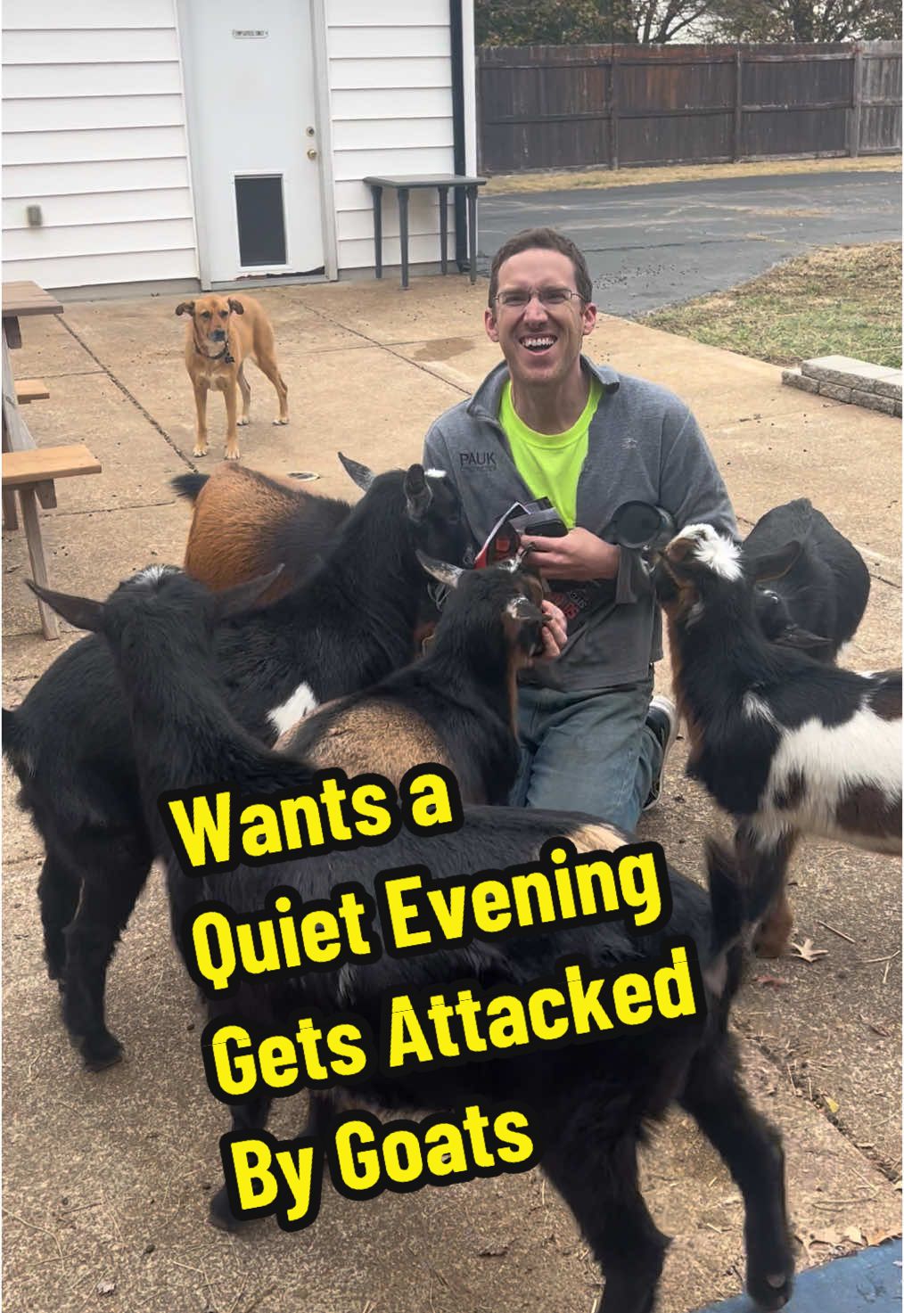 Wants a Quiet Evening…Gets Attacked By Goats Instead  #goats #kidsonkerth #petlovers #pettok #animalsoftiktok #funnypets #creatorsearchinsights #fyp #farmlife #couple #Relationship farm frenzy, goats funny videos, goats of TikTok, goats getting scared, animals funny videos in TikTok,  small pets