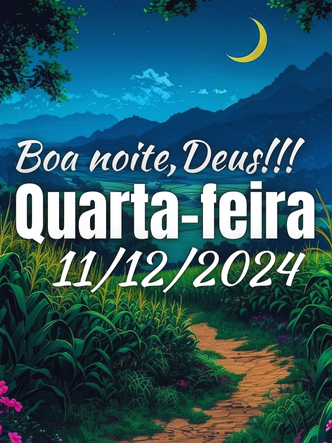 Boa noite, Deus. Quarta-feira 11/12/2024. 