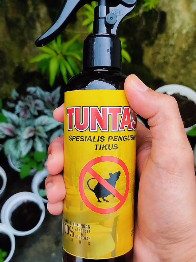Tuntas semprotan pengusir tikus paling ampuh dengan formula khusus yang menjadikannya anti tikus terbaik #pengusirtikus #antitikus #semprotantikus 