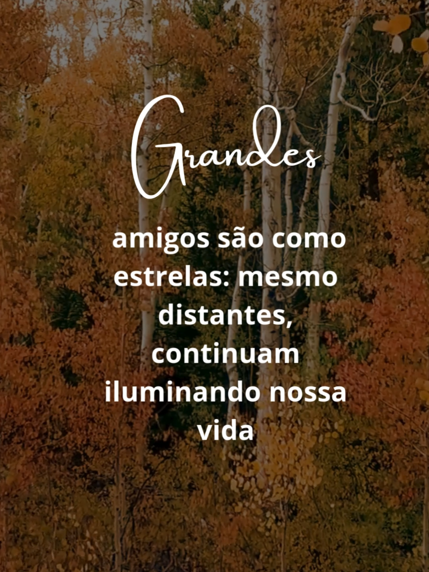 Grandes amigos são como estrelas: mesmo distantes, continuam iluminando nossa vida. #motivation #reflexion #sabedoria #amigos