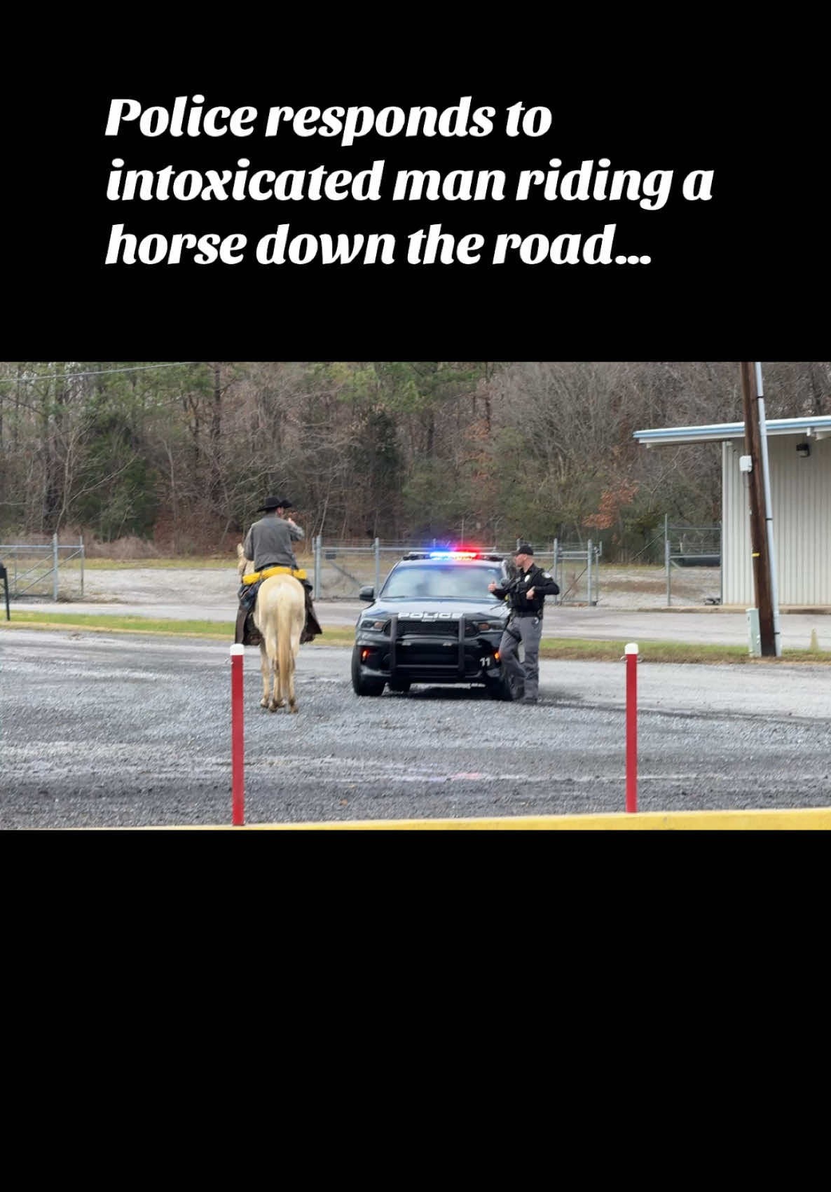 Dude was out here trying to play cop and robbers on a horse 😆 he was arrested twice on his horse this weekend 🤦🏻‍♂️ #cowboy #cops #police #fakecowboy #policechase #kentucky