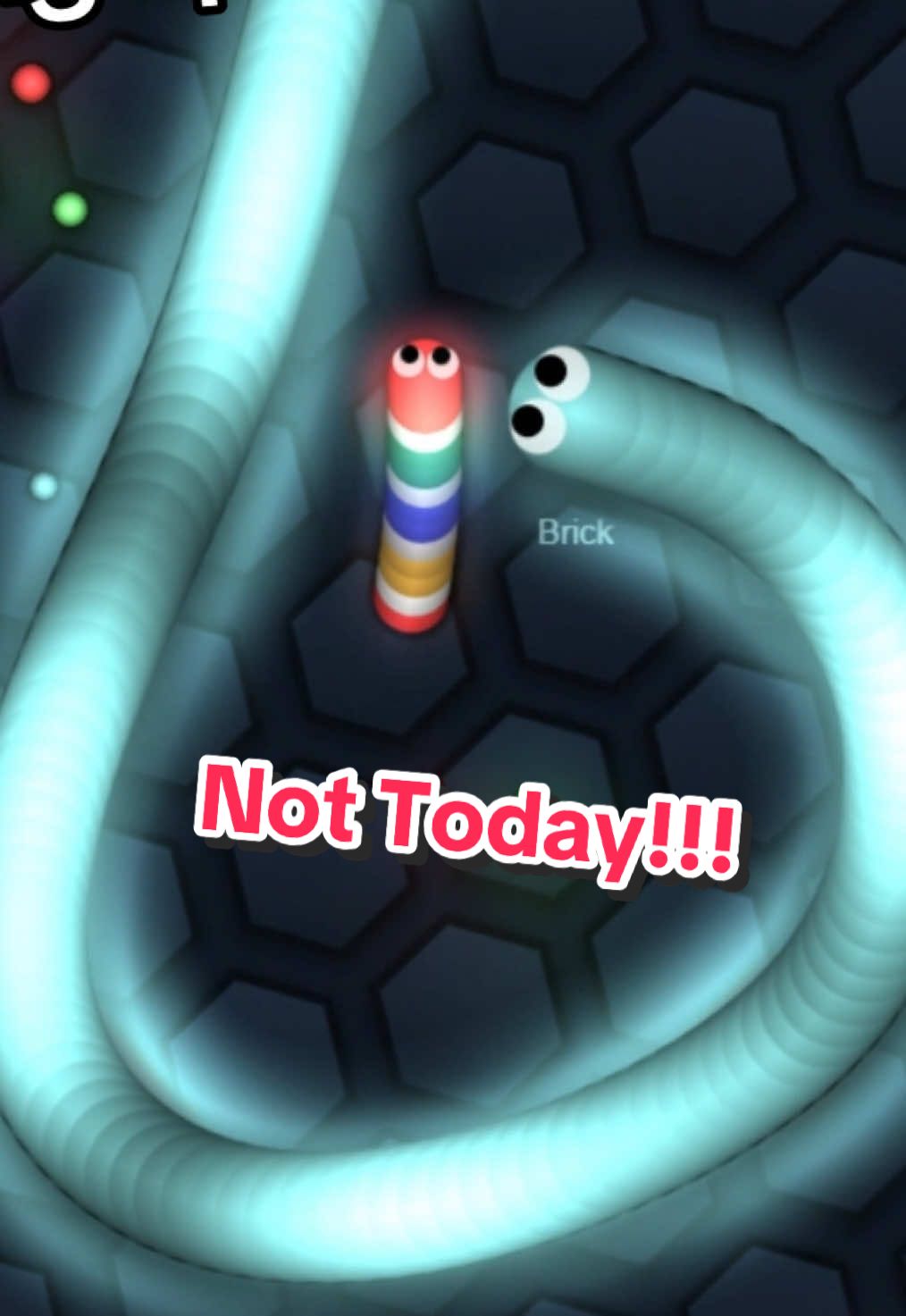 Did I cook them??? 🧑‍🍳🧑‍🍳 #slitherio #2016 #nostalgic #onlinepvp #snake