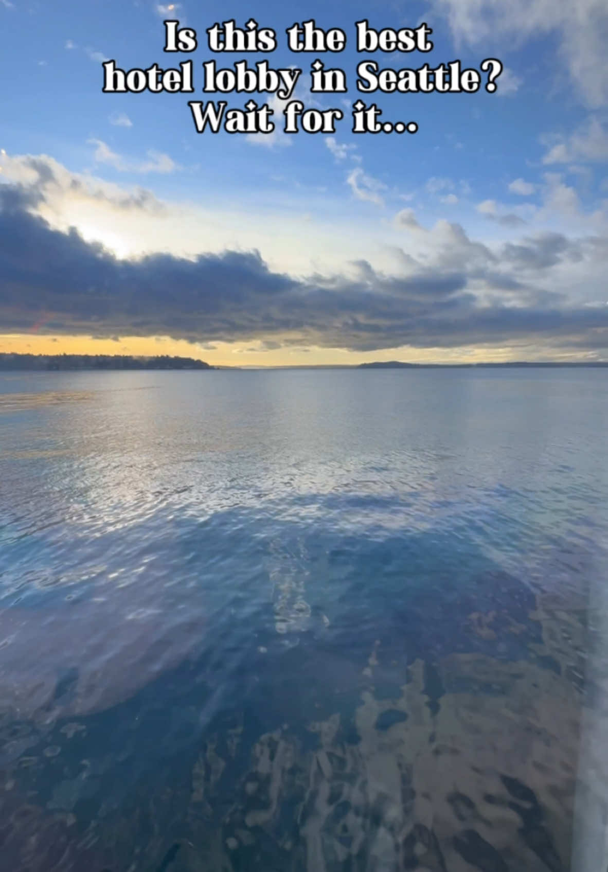 Have you stayed at @Noble House Hotels and Resorts The Edgewater in downtown Seattle? Located directly on Elliot Bay, this location just seems extra special around the holidays 🎄 #pnw #travel #explore #vacations #vacation #holiday #wa #pugetsound #christmasvacation #noblehouse #hotel #resort #staycation #washington #local #getaway #girlstrip #couples #anniversarytrip #onthewater #elliotbay #seattle #views #xmas #xmastree #tree #coffee #couch #friendship #chat #banter #dillydally #relax #CapCut 