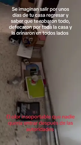 #LIVEhighlights #TikTokLIVE #LIVE  #LIVE #limpieza #forense #rpbi #work #queretaro #viral #surprise #robo #casa #colonia #foryoupag #qro #follow #menciones  #colinas #cimatario #baño #roto #cobre #ratas 