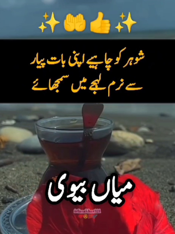 anmol baten mian bewi#islamic_video #urdupoetry #learnwithtiktok #video #viral #trending #tiktok #foryoupage #foryou #fypシ゚viral #motivation #sad #irfanakbar321 