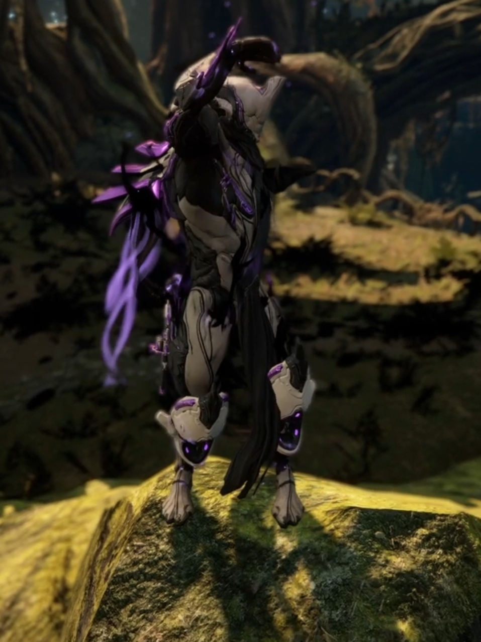 Warframe: Fashion of Excalibur Umbra, Xaku, and Wisp. 🤩 #Warframe #FashionFrame #ExcaliburUmbra #Xaku #Wisp #framefashion #fashion #fyp #warframecommunity #clips #edits #warframetiktok #videogames #fypシ #frames #consolegaming #pcgaming #wispprime #xakuprime #foryoupage #tenno 