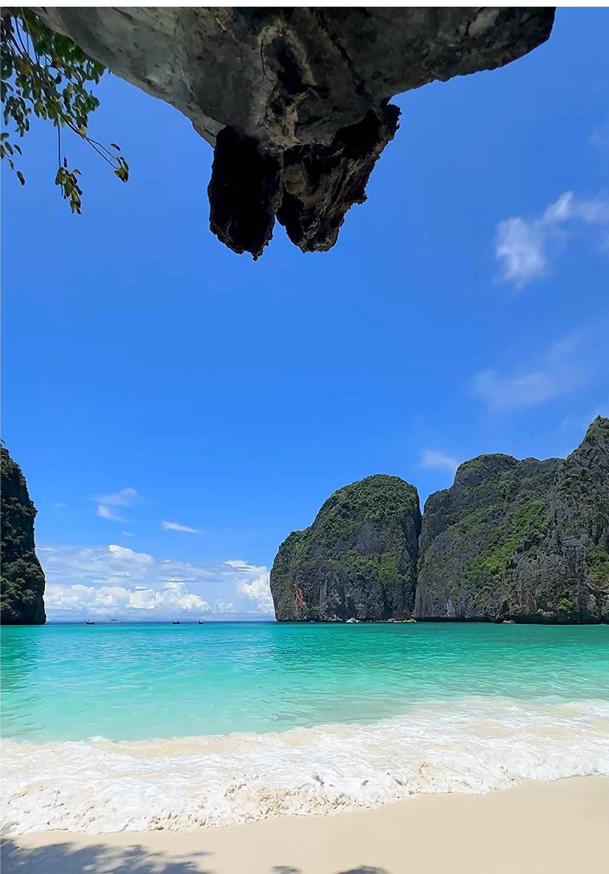 The beach where dreams take root in reality 🏝️💦 📍Maya Bay - Phi Phi Island Krabi , Thailand 🇹🇭 . . #thailand #beachvibes #thailandtravel #vacation 