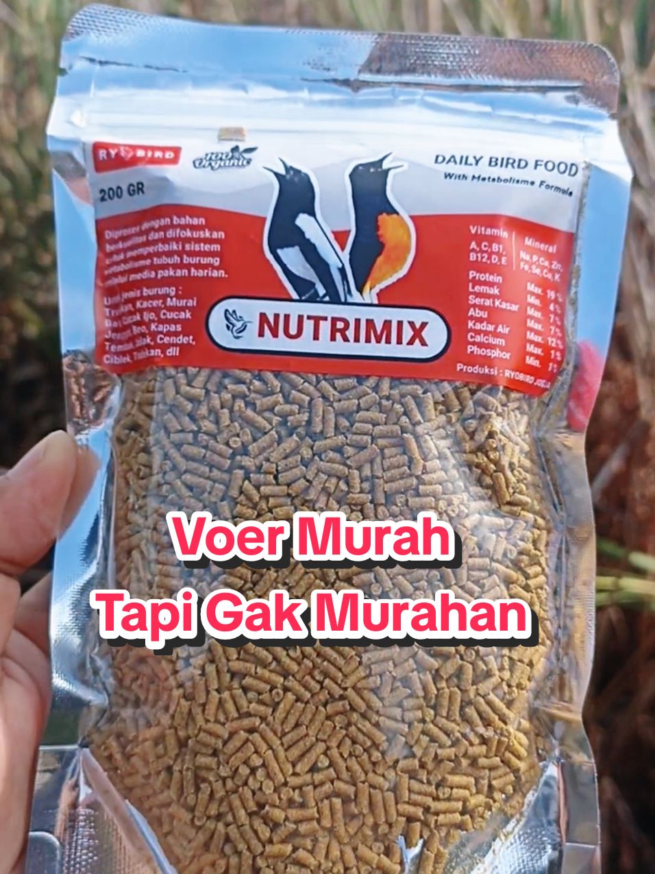 voer tinggi protein. harga murah bos #voernutrimix #nutrimix #ryobird #voerburung #pakanburung #voerburunglomba #voerburungjuara #pakanburungjuara #voermuraibatu #voerkacer #wibgajian #megaguncang1212 #cuantanpabatas #gilagilajualan #kicaumania 