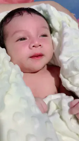 MasyaAllah Anugerah Terindahnya Bunda😍Adek Sehat Selalu ya Sayang 🥰 Terimakasih Adek udh jadi bagian Terindah dan Terbahagiannya Bunda Dan Ayah😇🤍IloveyouAdek🤍 #masyaallahtabarakkallah #anugerahterindah #babynewborn #babygemoy #babyboy #babylove #babytiktok #fypシ゚ #fyp #fyppppppppppppppppppppppp #lovemom @Prahestin_ #lovedad @Momblostich 