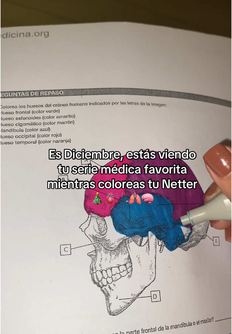 Anatomia en Diciembre 🫁🧠🎄🫀#enfermeria #studentnurse #paratiiiiiiiiiiiiiiiiiiiiiiiiiiiiiii #nurse #nurses #enfermeriatiktok #enfermeria💉💊 #hacksdeestudio #estudiantedeenfermeria #medicine #medicinestudent #anatomia #anatomy #anatomyclass #estudiantesdemedicina #