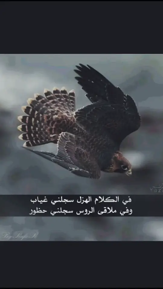 #نواف_الجهني #المدينة #المدينه_المنورة #الجهني #اكسبلور #هشتاقاتي_الترند_المشهور #ترند 