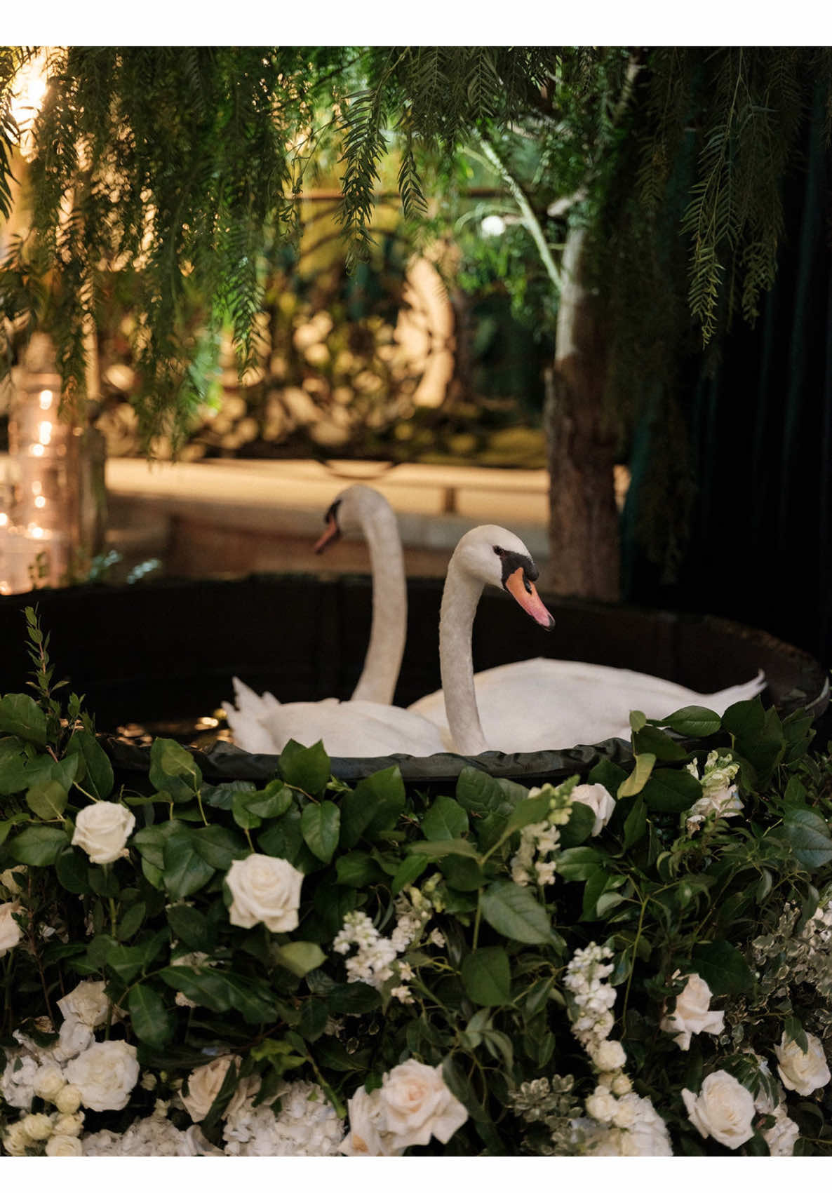 POV as a Bride you desing your wedding day. #weddingtiktok #weddingday #weddingplanning #weddingdesign #weddingvibes #weddingphotographer #weddingvideo #wedding #armenianwedding #persianwedding #desing #weddingvibes #bride #groom #weddinggoals #pov #povstories #povs #share #like #Love #california #bigday #couplegoals #photoshoot #bridalmakeup #weddingdress 