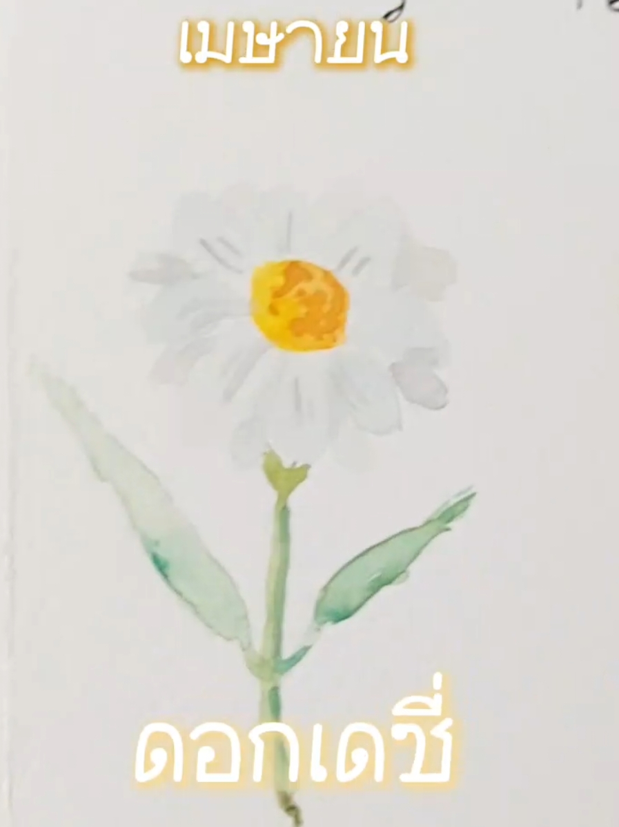 #เมษายน วาด#ดอกไม้ #เดือนเกิด #April ดอก #เดซี่ #สีน้ำ #easypainting #birthmonth #flower of April #Daisy #watercolor #เดือนเกิดบอกนิสัย @ลองแล้วลองเล่า